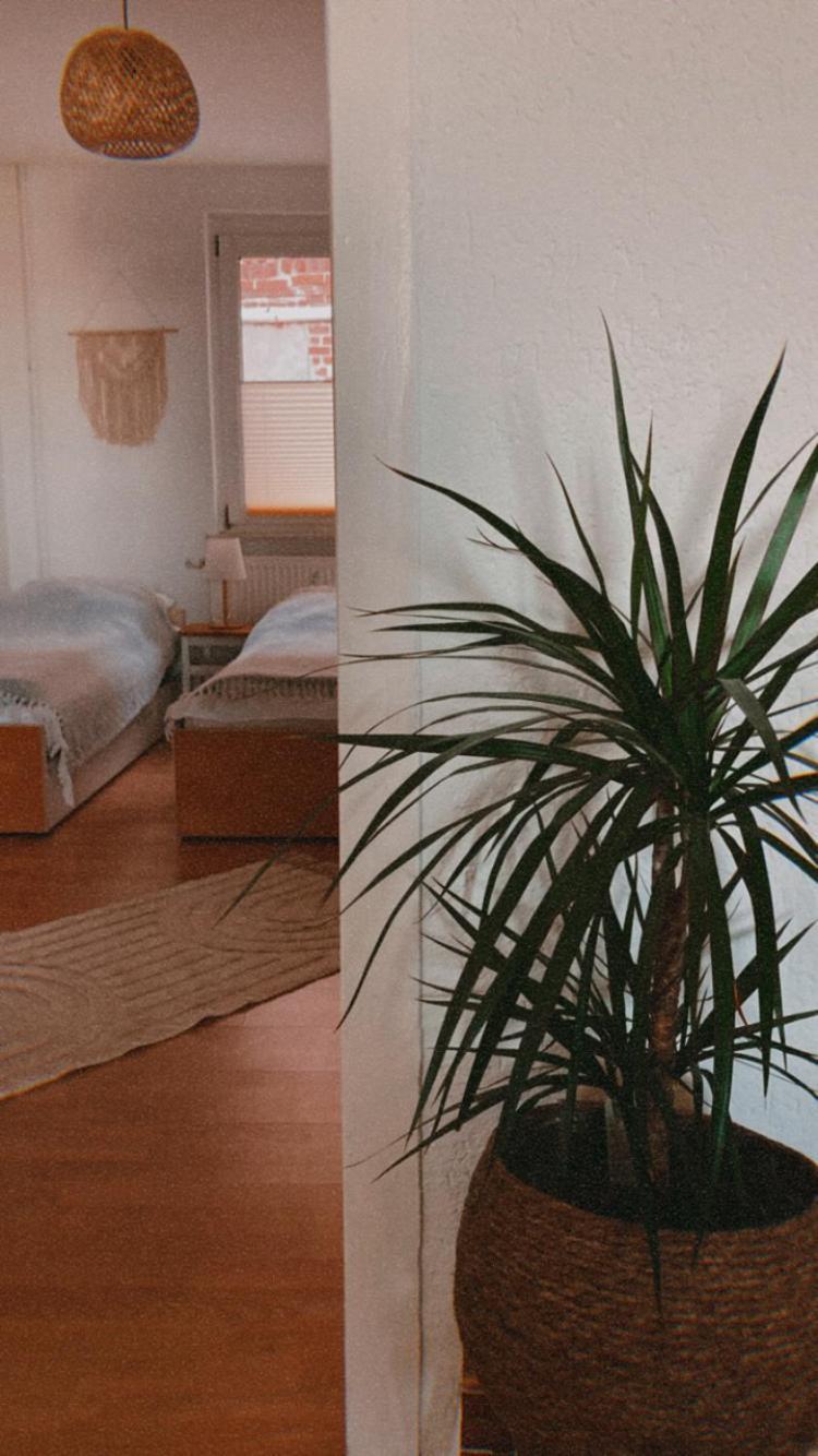 Ferienwohnung Nr. 1 Terrasse Bodden Kanu Bootssteg Zudar エクステリア 写真